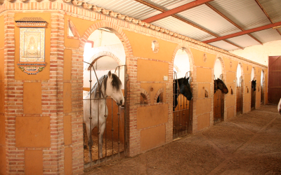 Video centro hípico Cuadra Bellavista