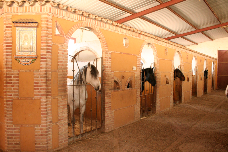 Video centro hípico Cuadra Bellavista