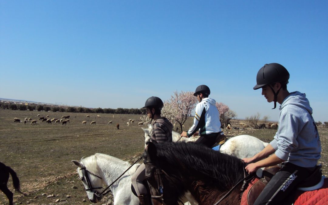 Ruta a Caballo por los Secanos